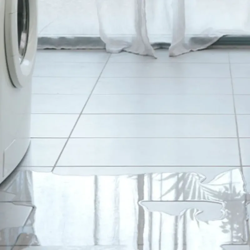Appliance Leak Cleanup in Edgartown, MA