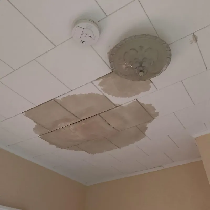 Ceiling Water Damage Repair in Edgartown, MA