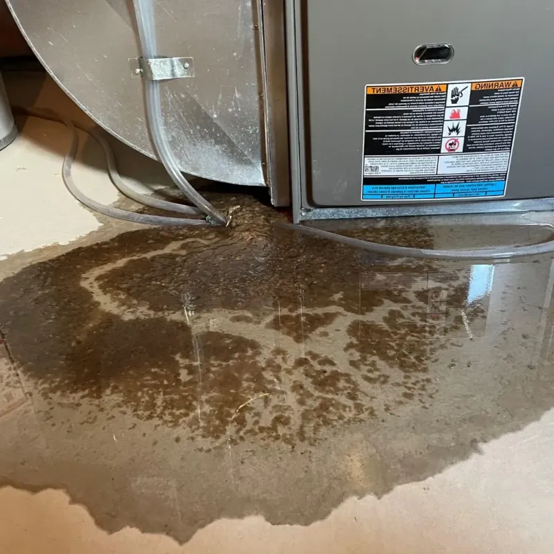 Pipe Burst and Leak Restoration in Edgartown, MA