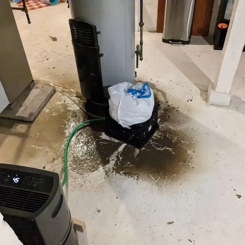 Sewage Backup Cleanup Service in Edgartown, MA